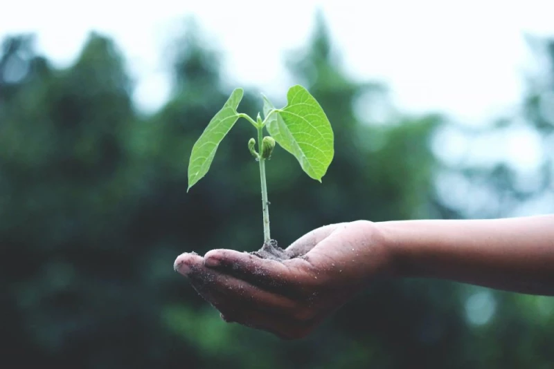 Śląski Biznes dla Klimatu. Firmy będą rozmawiać o "zielonych rozwiązaniach"